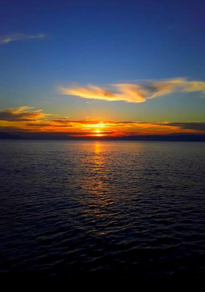 Chales Mata Atlantica De Ubatuba Exterior foto